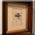 A48. Antique bird print. 